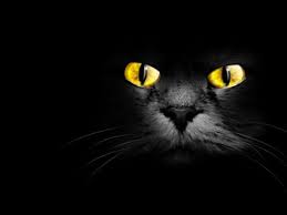 Bad luck revenge spells Bad luck revenge spells